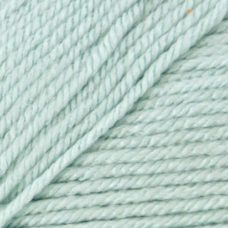 Everyday Worsted 100-51 Spa. Anti-Pilling Acrylic from Premier Yarns.